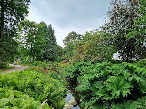 RHS Garden Harlow Carr