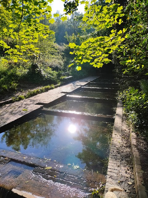 Baggeridge Country Park