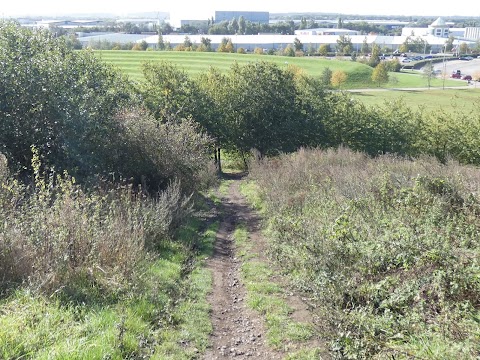 The hill above the lakeside