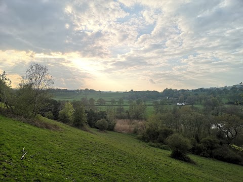 Brough Park