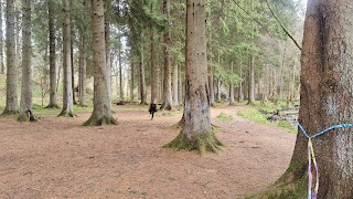 Cumbernauld Glen Wildlife Reserve