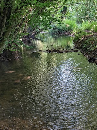 Chesham Moor