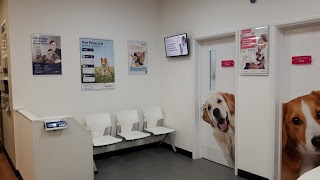 Vets4Pets - Waterlooville