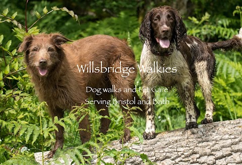 Willsbridge Walkies - Luxury Home Dog Boarding and Daycare