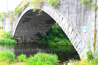 Lucan Weir Park, Liffey Valley