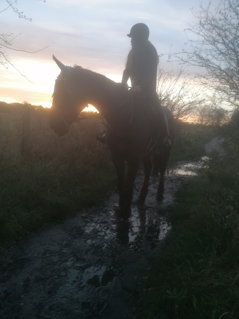 Epona Equine Vets