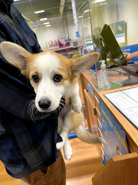 Pets at Home Sheffield Norton