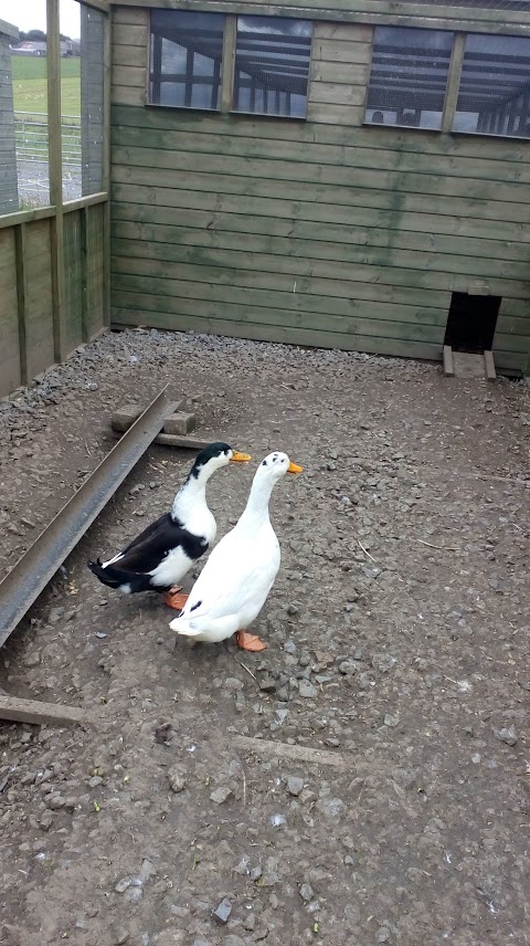 The North East Wildlife & Animal Rescue Centre