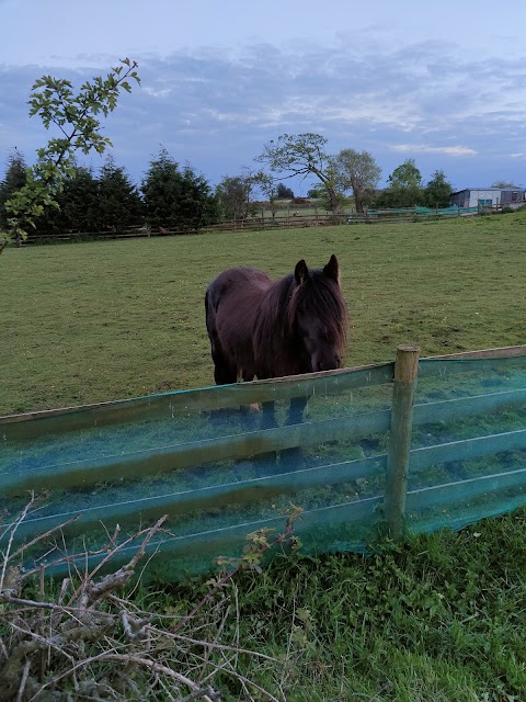 Slate House Farm Glamping Pods