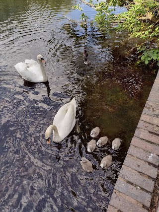 Hill Hook Nature Reserve