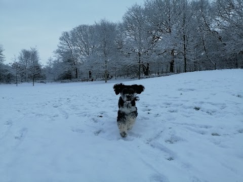 Earby Waterfalls Park