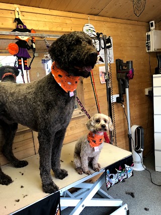 Witwoo Dog Groomers