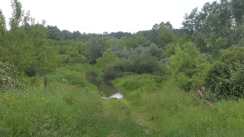 Великодобронський Общезоологический заказник