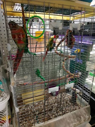 PET STORE UK