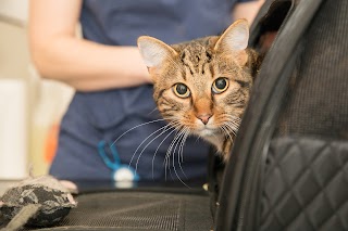 Hedge End Veterinary Health Centre