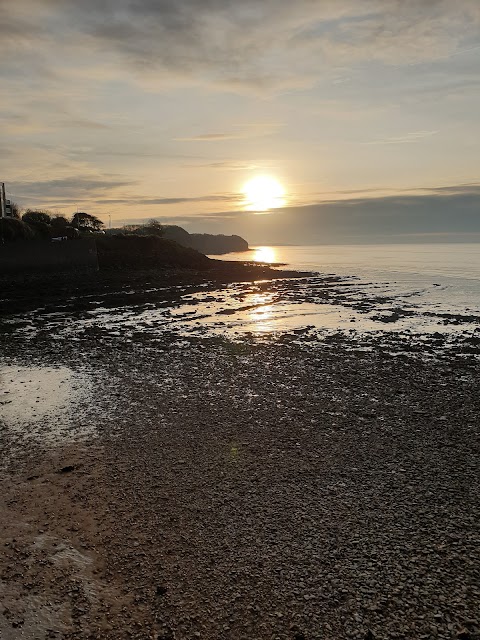 Tiffin at the Beach