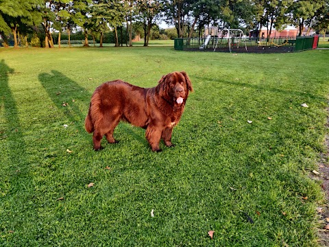 The Groomers Liverpool