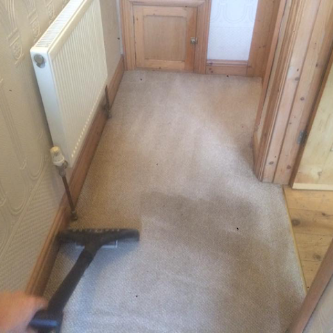 Edwards Jeffery Carpet Cleaning