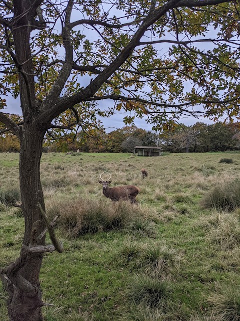 Essex Wildlife Trust, Bedfords Park Nature Discovery Centre