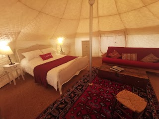 Moat Island Glamping - Norfolk