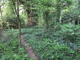 Finchley Way Open Space