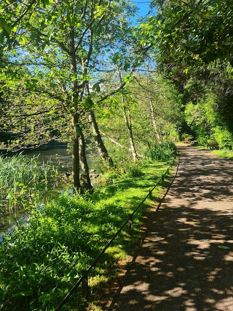 Straiton Pond Local Nature Reserve