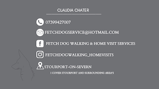 Fetch Dog Walking & Home Visit Services