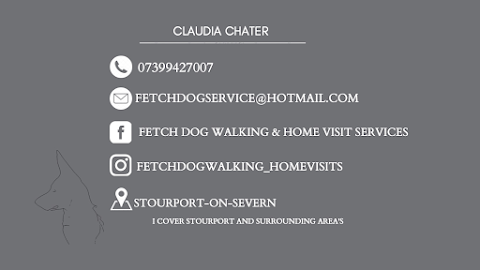 Fetch Dog Walking & Home Visit Services