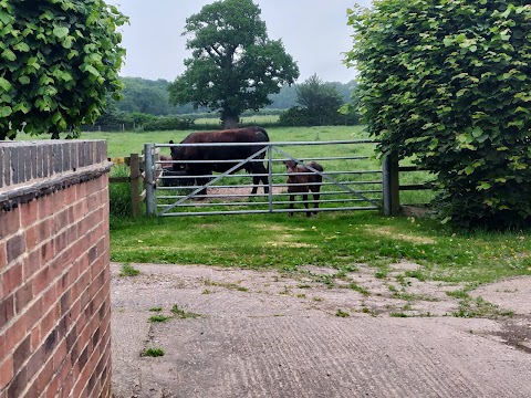 Marsh Farm B&B & Tea Room