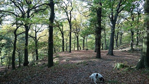 Three Cottages at Meanwood Park