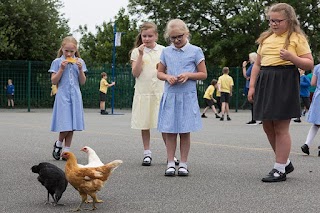 Brookdale Primary School