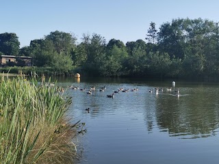 Lakeside Country Park