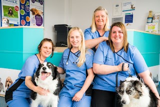 Patchway Vets