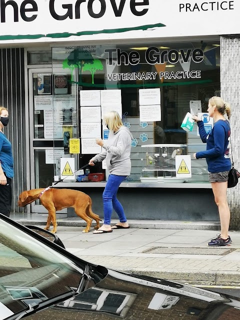 Grove Veterinary Surgery