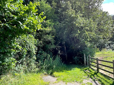 Reignhead Primary School and Nursery