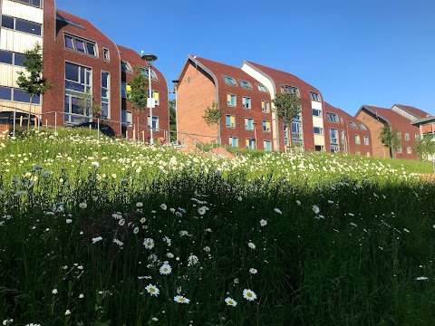 Varley Park Halls of Residence, University of Brighton