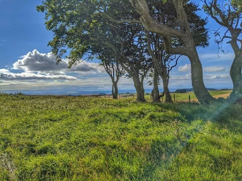 Wildlife walk