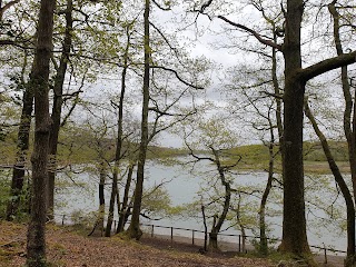 The Barn at Barnfield - River Hamble Country Park