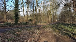 Lings Wood Nature Reserve