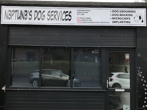 N3PTUN3’S Dog Services