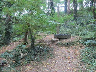 Efford Valley Nature Park