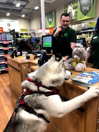 Pets at Home Battersea