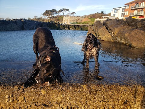 Ballywalter Beach & Park