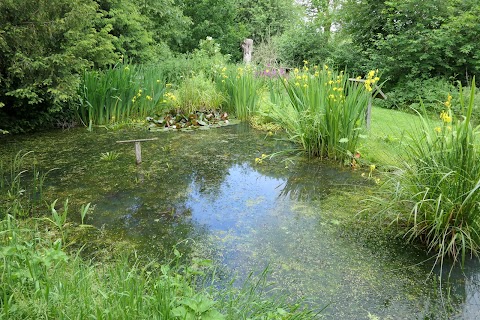 Mill Park Reserve - Long Buckby Green Spaces