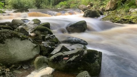 Jacksons Falls