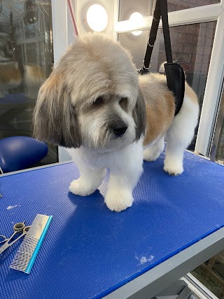 Rainworth dog grooming