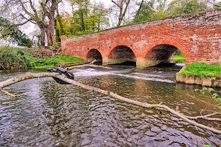 Swanton Morley Waterfalls