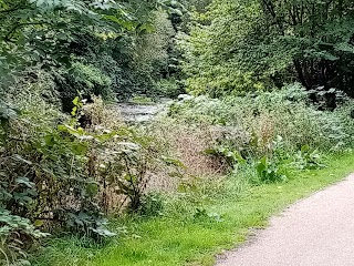 The Shire Country Park