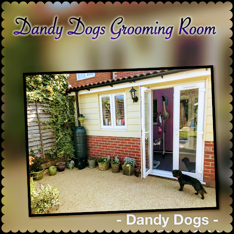 Dandy Dogs