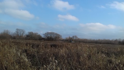 Meadow Pool